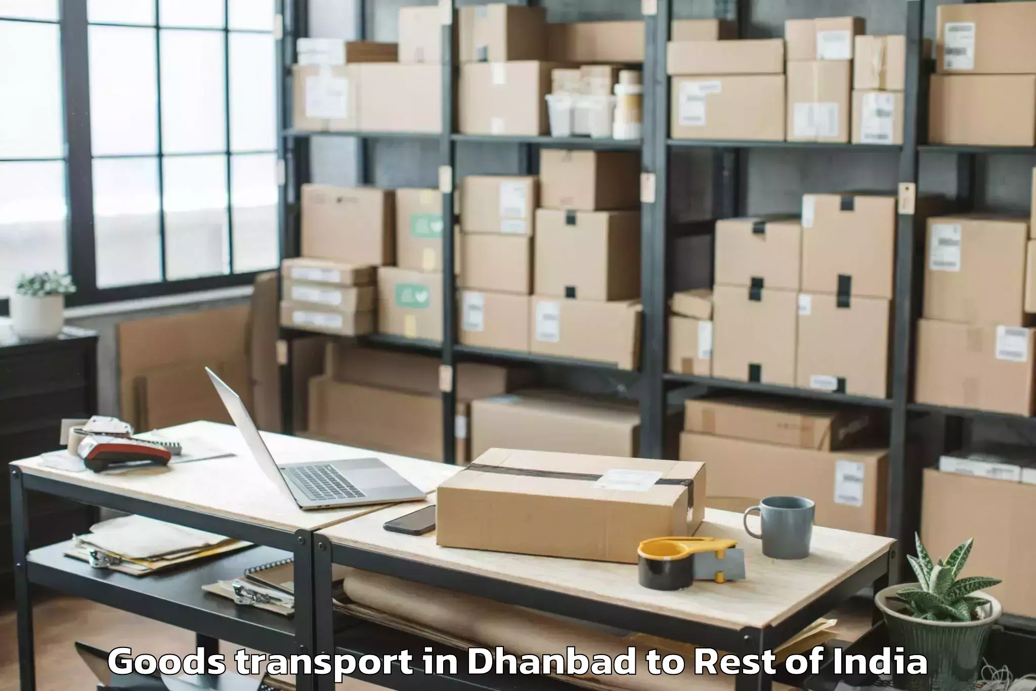 Professional Dhanbad to Pulwama Goods Transport